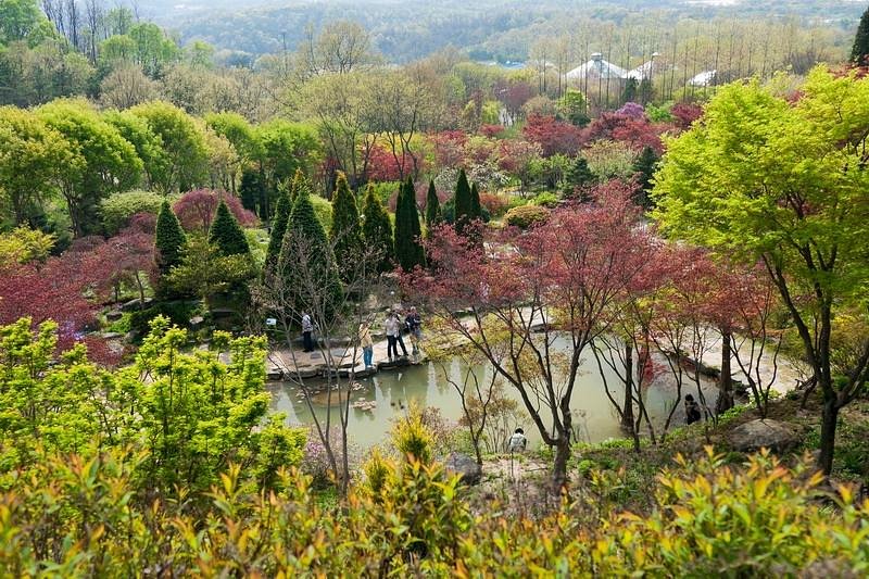 Hantaek Botanical Garden image