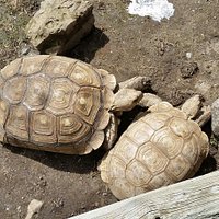 Exotarium: Ferme de Reptiles