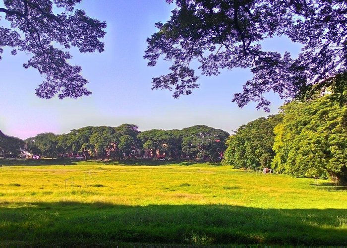 University of the Philippines