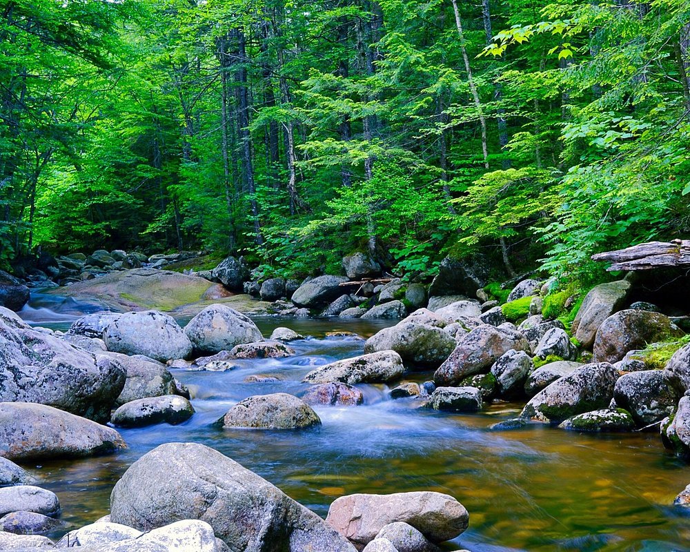 THE 15 BEST Things to Do in New Hampshire - 2024 (with Photos ...