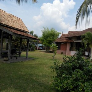 House and garden
