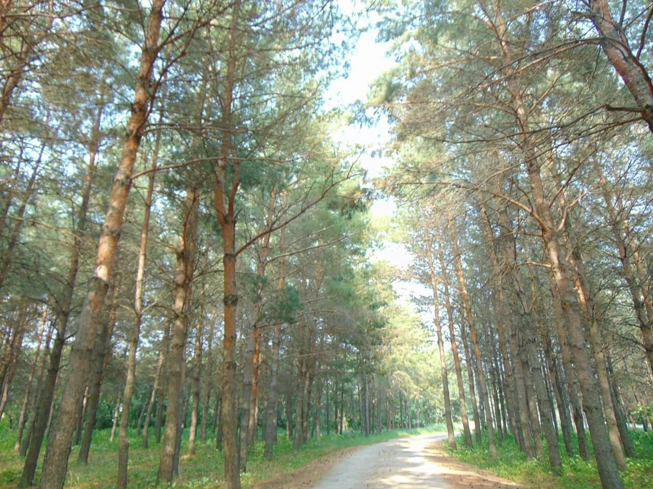 Pembina Valley Provincial Park - 모르덴 - Pembina Valley Provincial Park의 ...