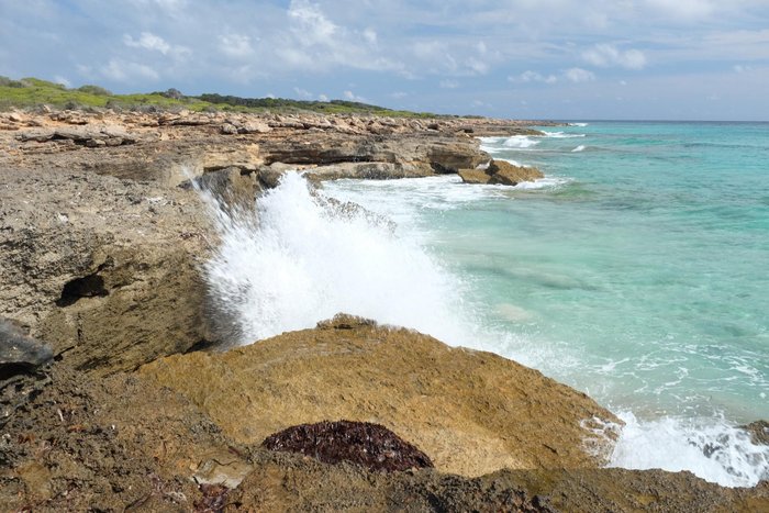 Imagen 1 de Playa Es Caragol