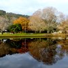 Things To Do in Australian Axeman's Hall of Fame, Restaurants in Australian Axeman's Hall of Fame