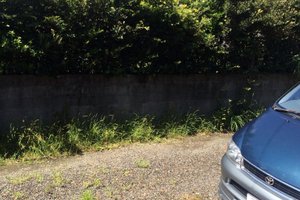 旅行者の写真
