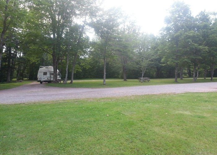 picnic area
