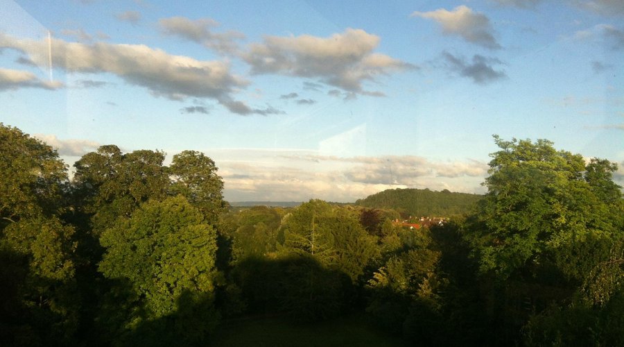 A view from the belvedere at the top of the house