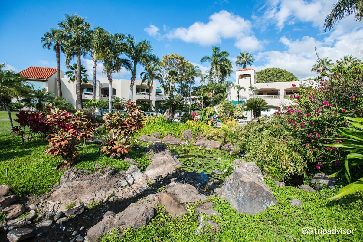 Palms at Wailea Private Balconies: Pictures & Reviews - Tripadvisor