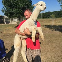 Kevin holding his baby alpaca