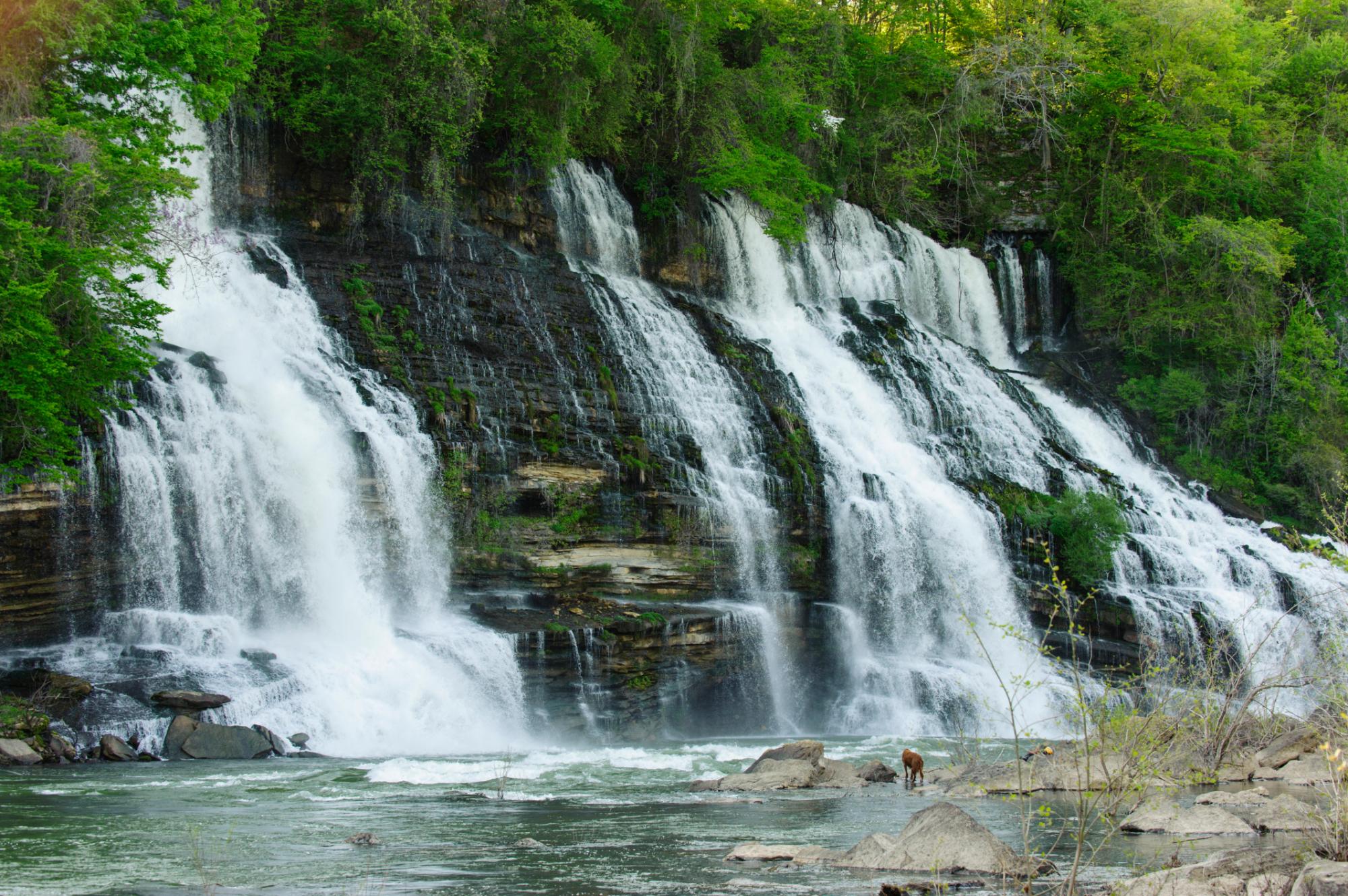 Rock Island State Park All You Need to Know BEFORE You Go 2024