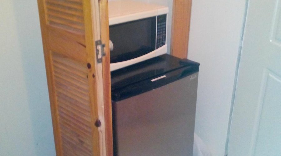 Microwave and fridge