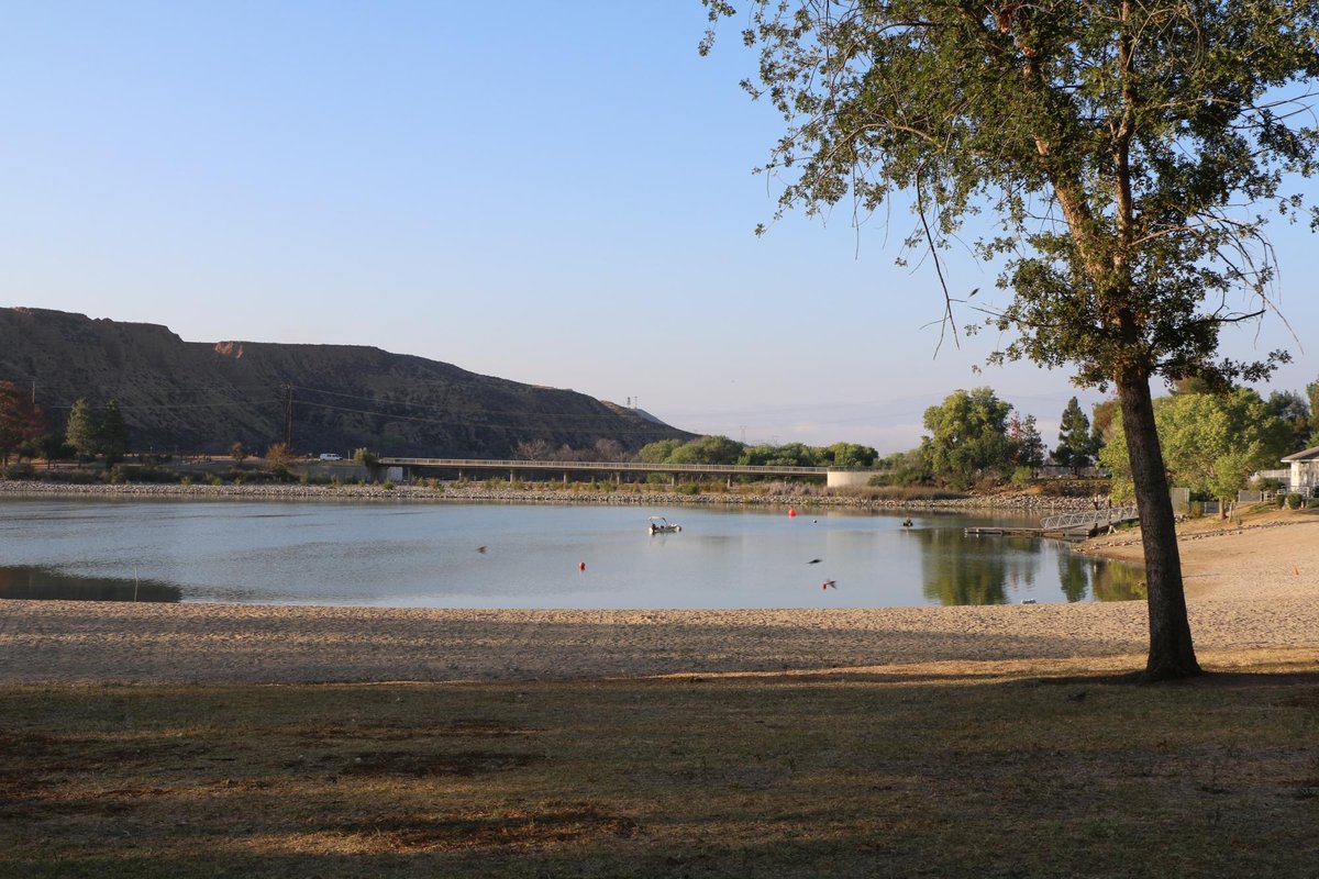 are dogs allowed at castaic lower lake