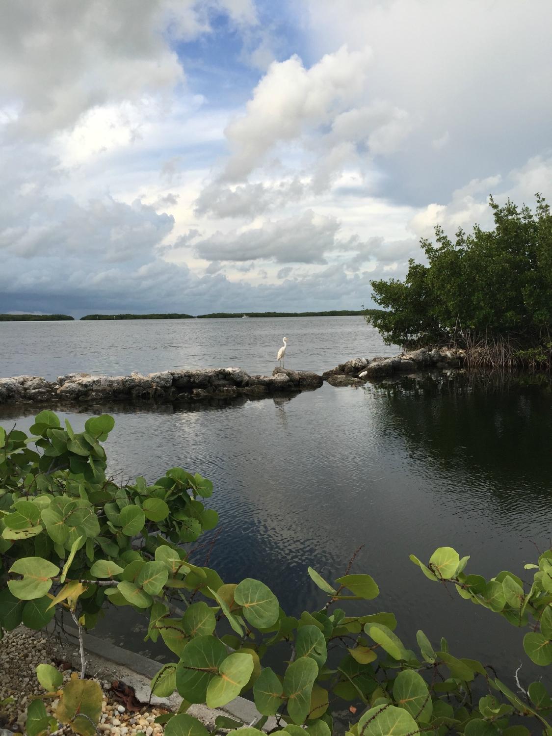 Kon Tiki Resort Islamorada Floride Tarifs 2023 Mis Jour Et Avis   Kon Tiki Resort 