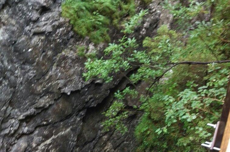Naturbadegebiet Vorderkaser