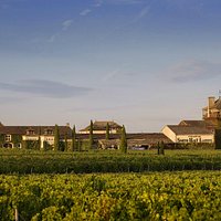 SHL vue des vignes - SHL from the vineyard