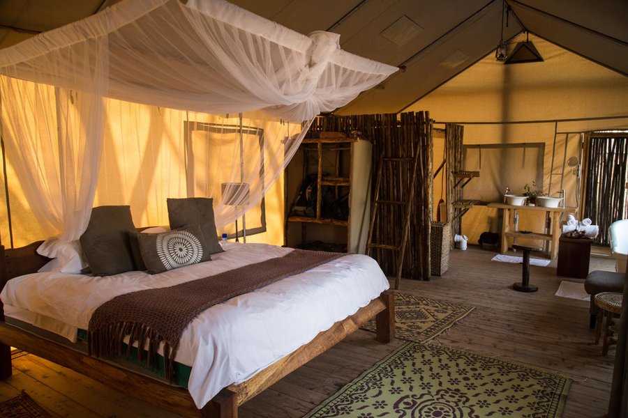 MIOMBO SAFARI CAMP - Updated 2022 Prices (Zimbabwe/Hwange)