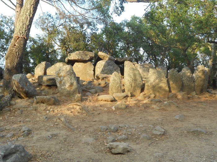 Imagen 7 de Cueva de Daina