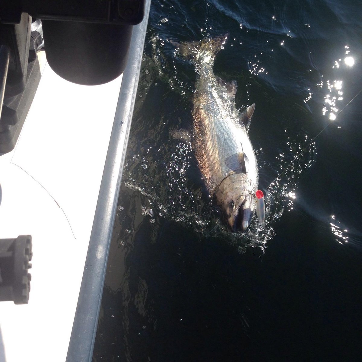 Peniuks Sportfishing Adventures (Campbell River) - All You Need to Know ...