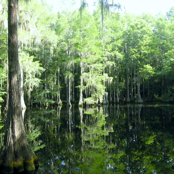 Museum of Florida History (Tallahassee) - All You Need to Know BEFORE ...