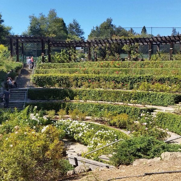 Tilden park little farm 2025 all you need to know before you go