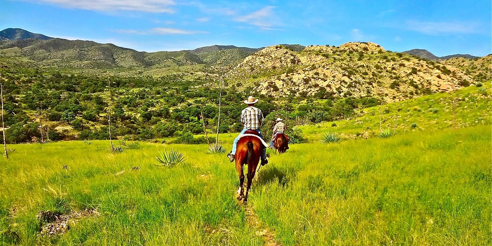 Benson, AZ 2024 Best Places to Visit Tripadvisor Benson, AZ 2024 Best Places to Visit Tripadvisor