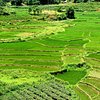 Things To Do in Mai Chau-Pu Luong 1/2/3 days tour - A nice valley mixes with a nature reserve, Restaurants in Mai Chau-Pu Luong 1/2/3 days tour - A nice valley mixes with a nature reserve