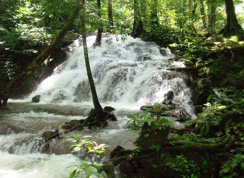 Sa Nang Manora Forest Park image