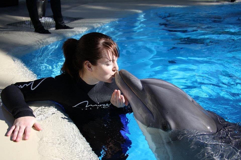 Swimming with the Dolphins in Las Vegas - Travel Codex