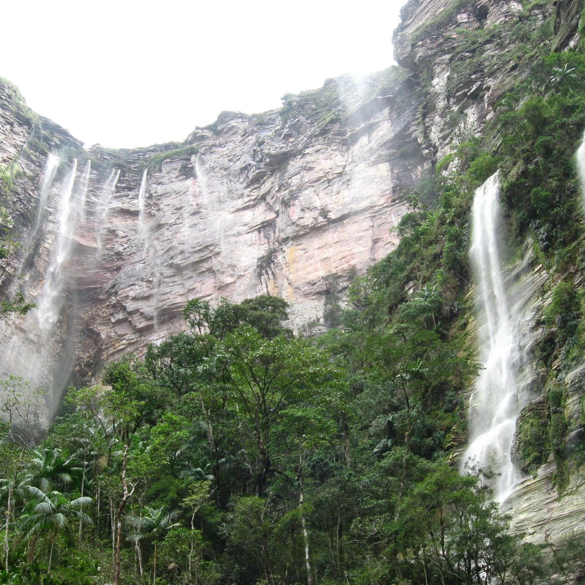 Fora da Trilha Eco Adventures - All You Need to Know BEFORE You Go (2024)