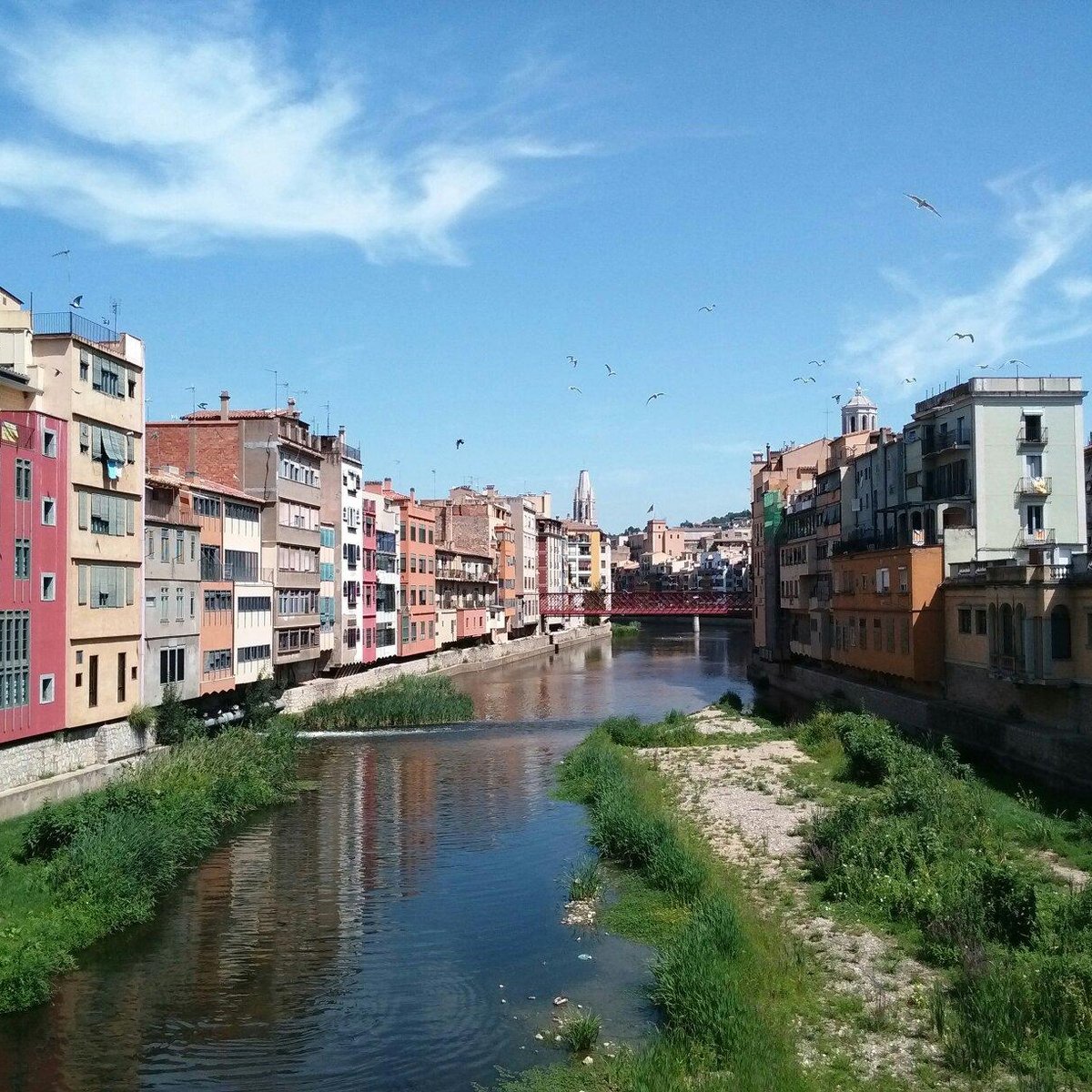 Eiffel Bridge (Pont de les Peixateries Velles), Жирона: лучшие советы перед  посещением - Tripadvisor