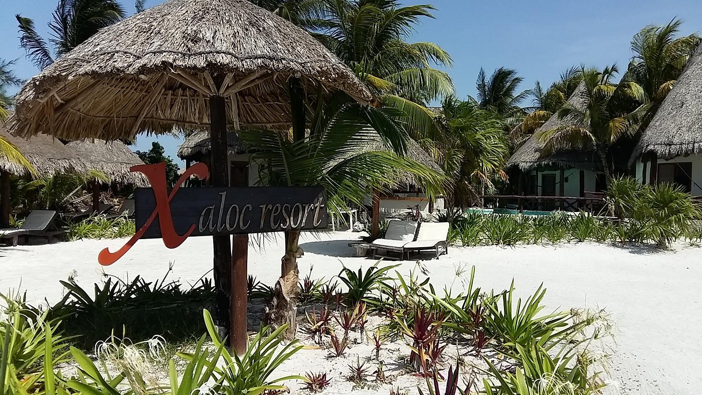 Holbox By Xaloc Updated 2024 Prices Holbox Island Mexico 