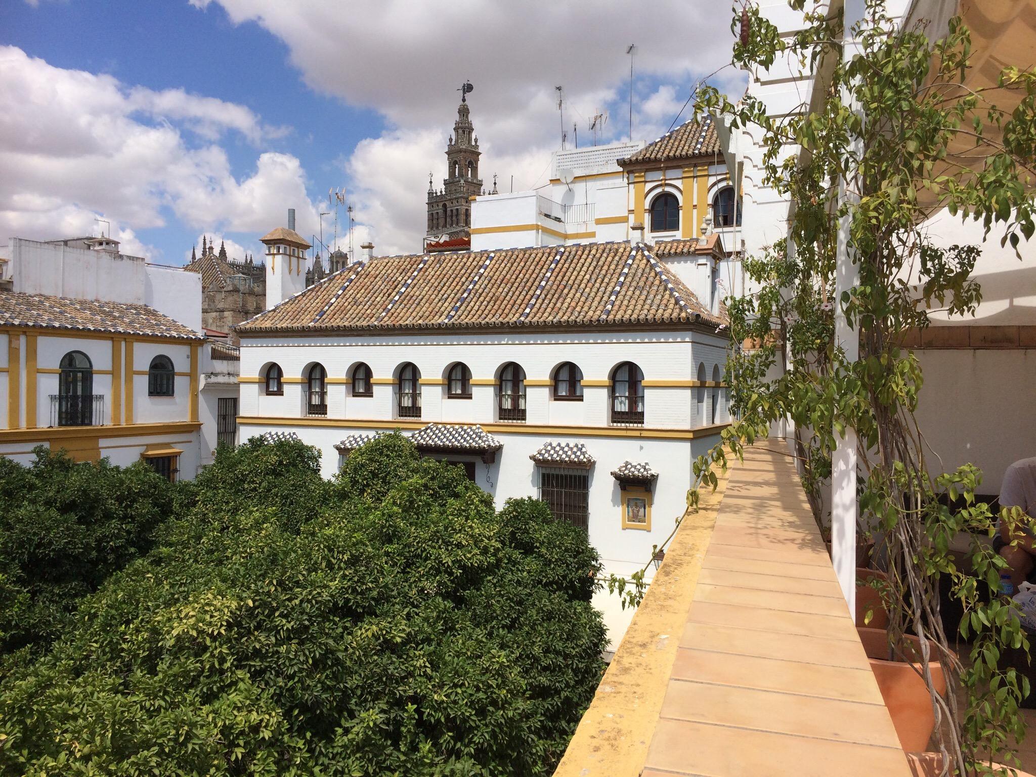 HOTEL BOUTIQUE ELVIRA PLAZA SEVILLE (Siviglia, Provincia Di Siviglia ...