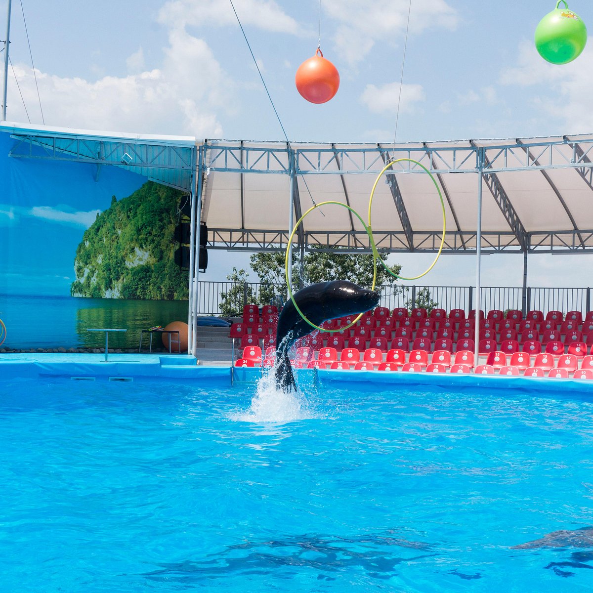 Dolphinarium Nemo, Бердянск: лучшие советы перед посещением - Tripadvisor