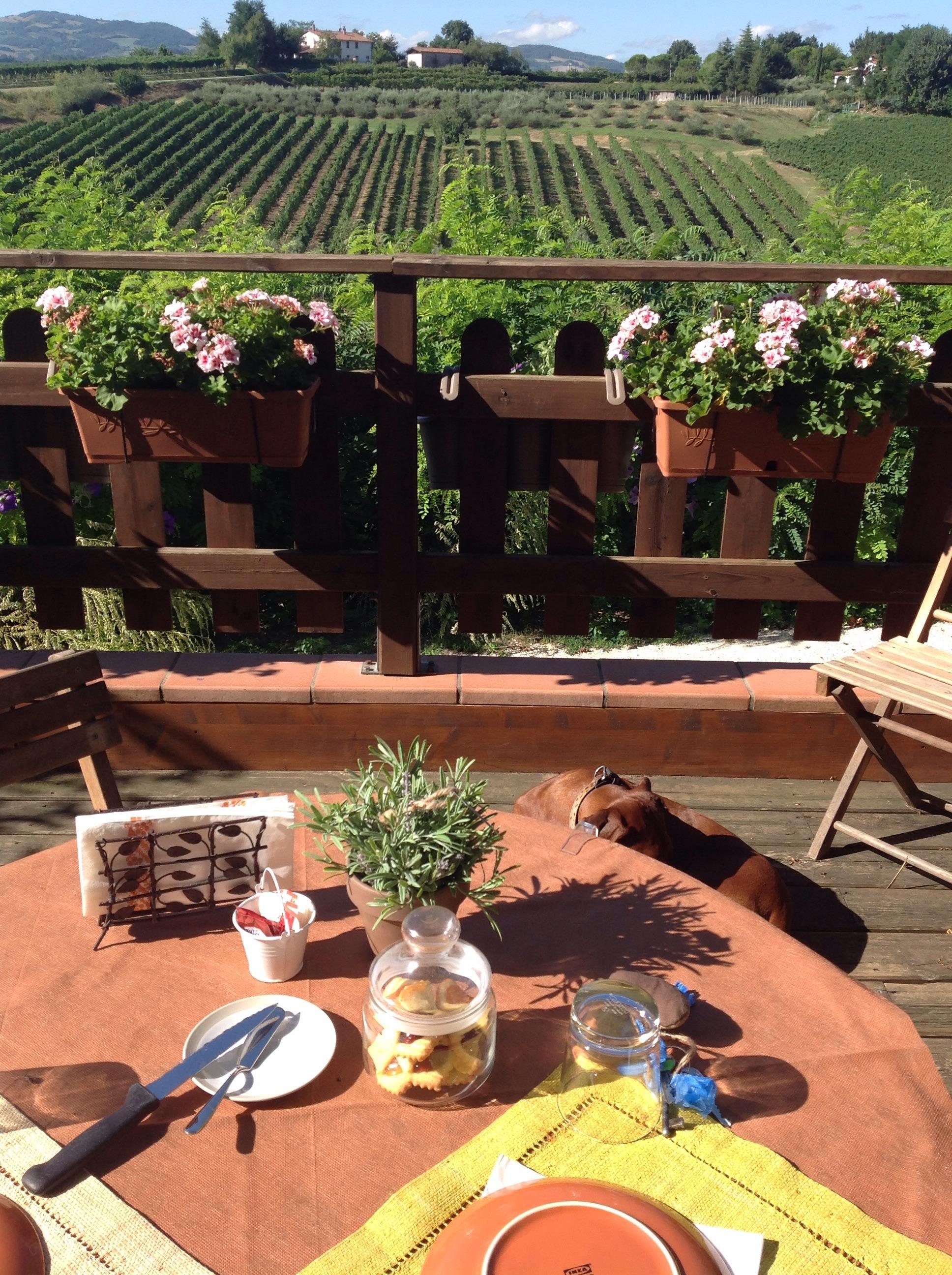 BED AND BREAKFAST CAMERA CON VISTA Desde $1,373 (Faenza, Italia ...