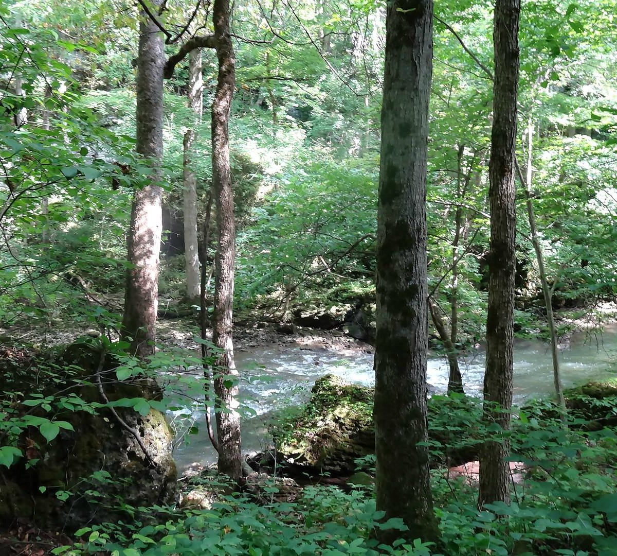 CLIFTON STATE NATURE PRESERVE (Yellow Springs) Ce qu'il faut savoir