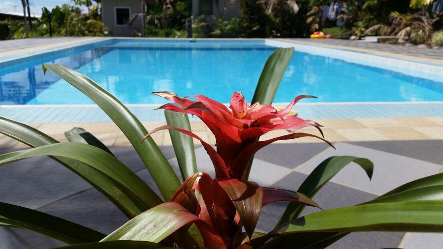 Newly built pool...perfect for the hot humid weather in Samoa..