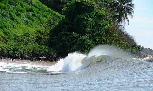 Gabon 2023: Best Places to Visit - Tripadvisor