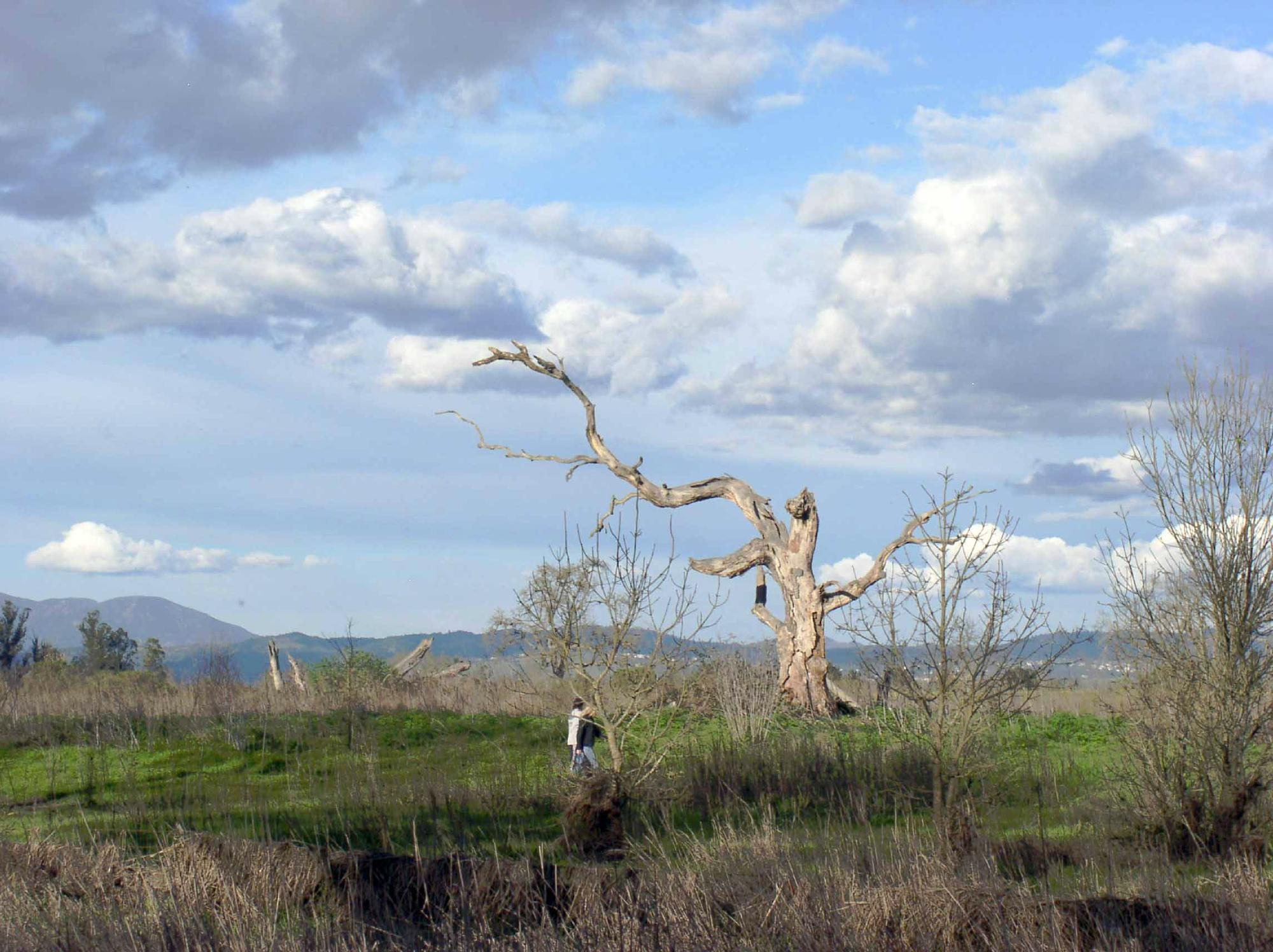 Putas En Santa Rosa Ca