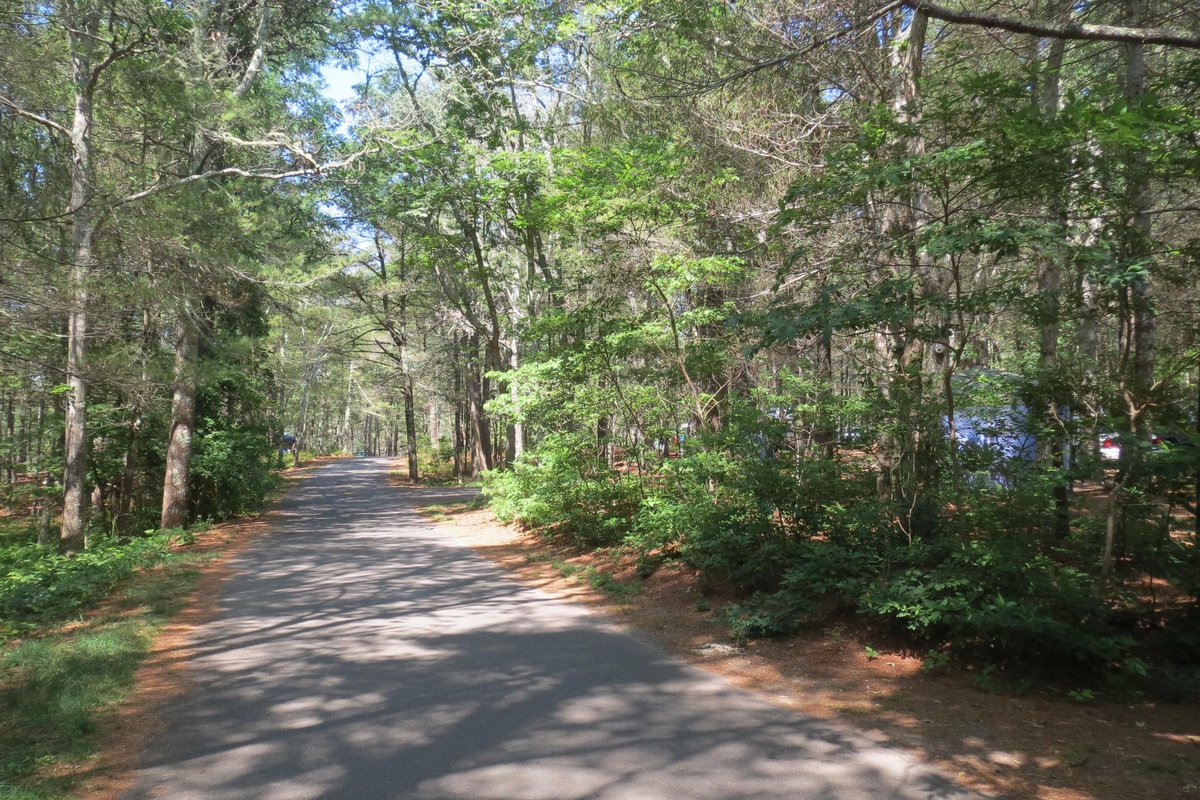 Escape to the Woods: Your Guide to Shawme Crowell State Forest