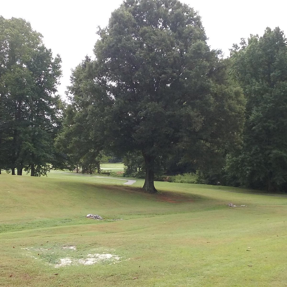 TWIN OAKS GOLF CLUB (Statesville) Ce qu'il faut savoir