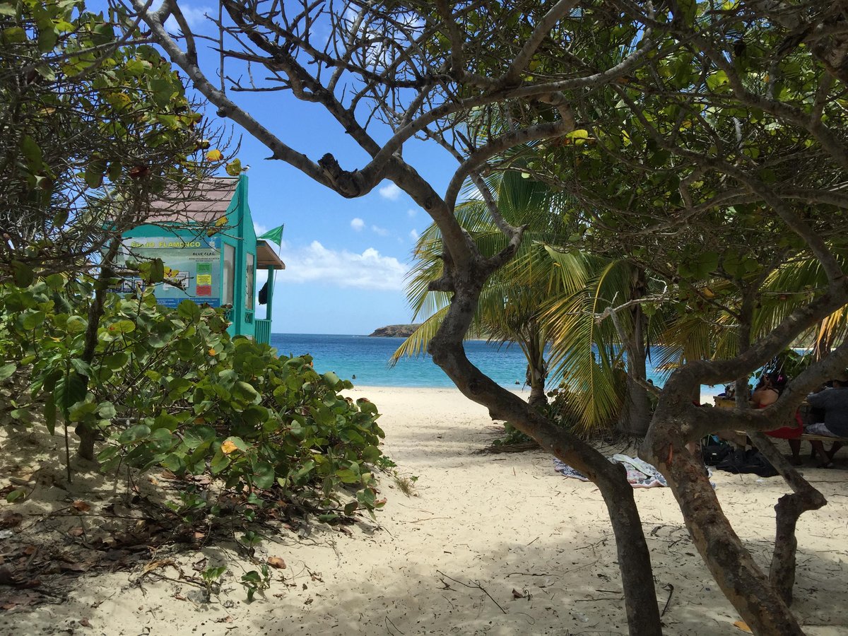 POSADA LA HAMACA - Updated 2024 Prices & Guest house Reviews (Culebra, Puerto  Rico)