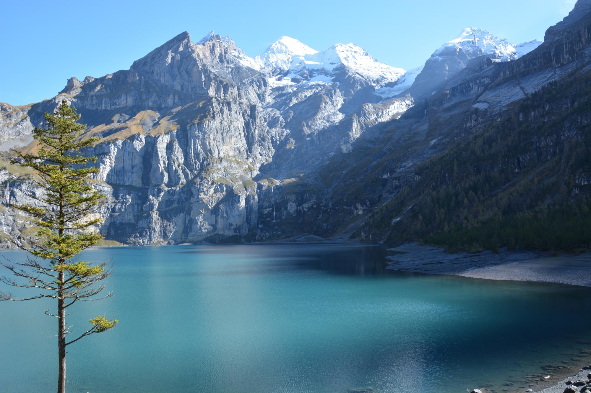 Rodelbahn Oeschinensee All You Need to Know BEFORE You Go