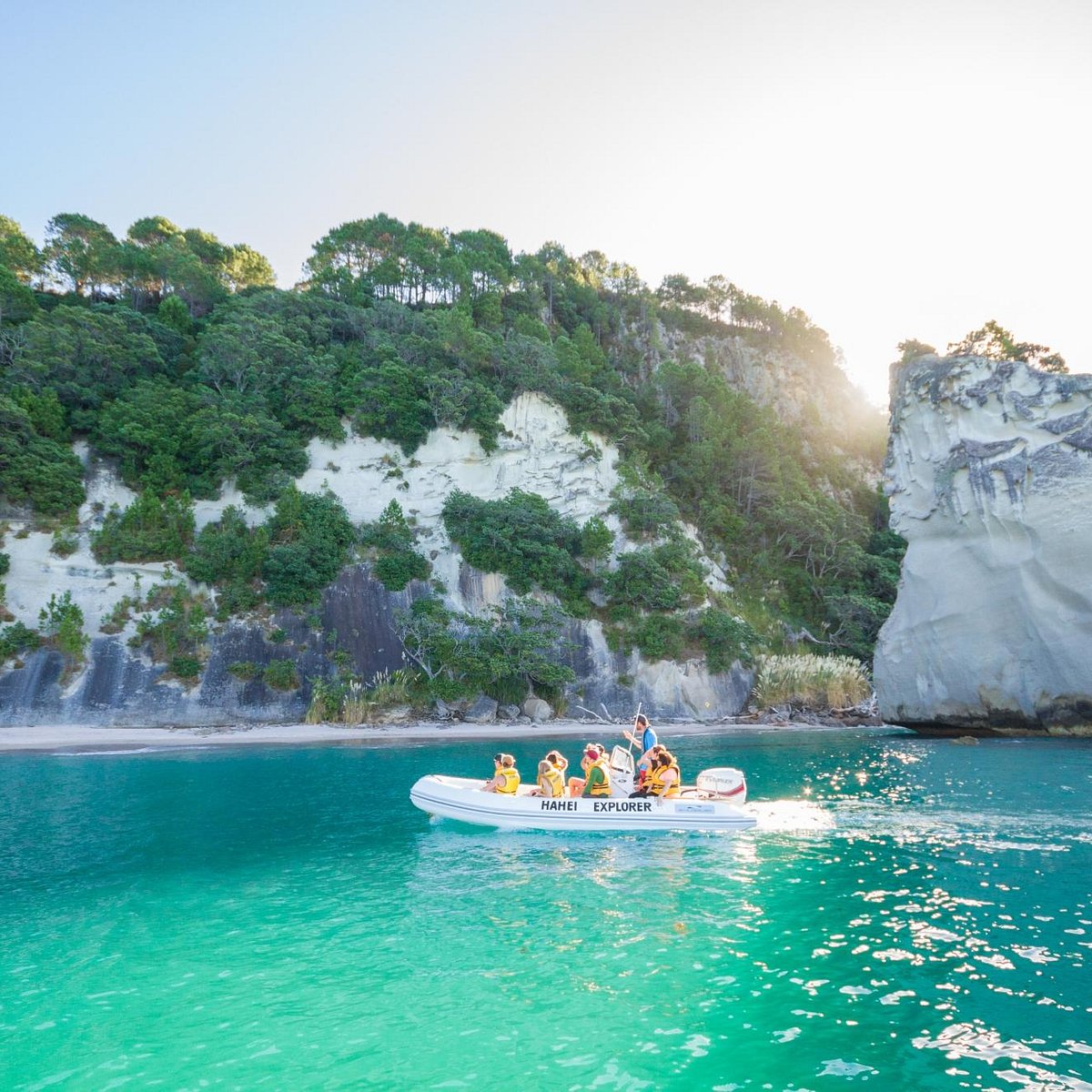 cathedral cove boat tour from hahei