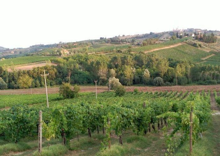 AGRITURISMO POGGIO MULETI - Farmhouse Reviews (San Gimignano, Italy ...