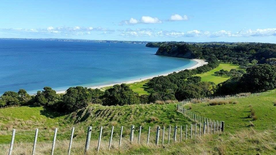 A family having a picnic in Shakespear Regional Park with the ocean in the background section 3