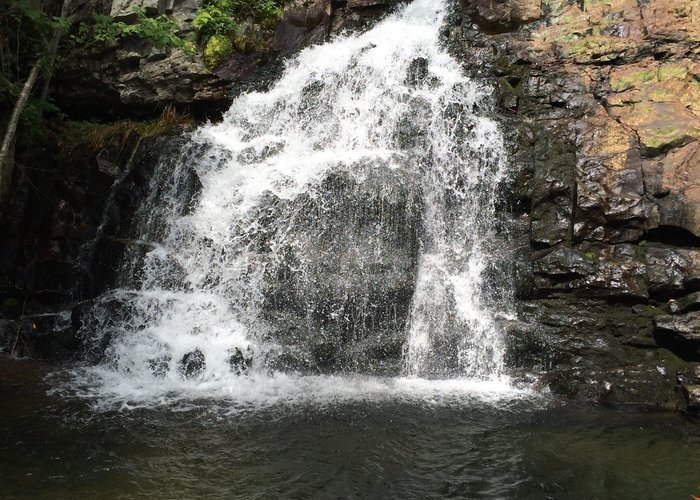 Awesome  state park for camping!