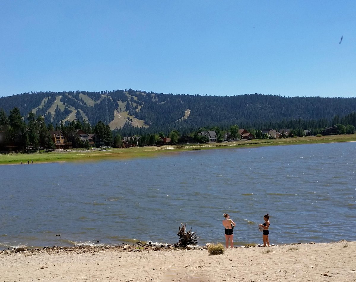 are dogs allowed on bear lake beaches