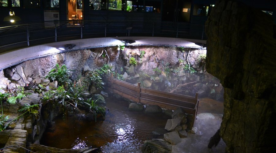 Aquarium de la Porte Dorée