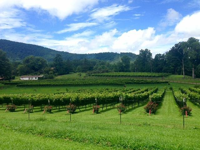 Stonewall Creek Vineyards (Tiger) - All You Need to Know BEFORE You Go