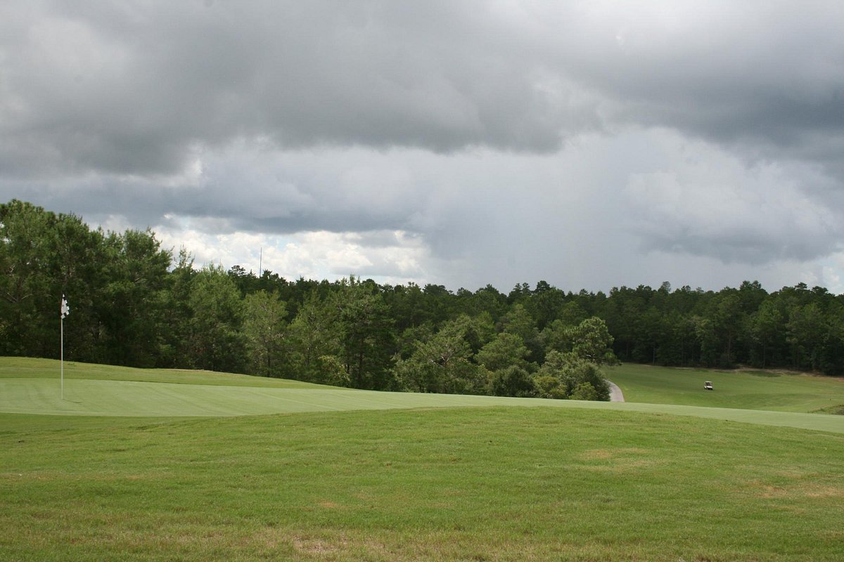 Blackstone Country Club: Black Stone, Courses